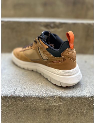 Palladium pallaflex Homme