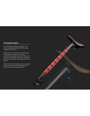 RAYVOLT BIKE XS WOMEN 250W AVEC BAT 36V 15A