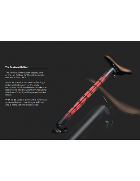 RAYVOLT BIKE XS WOMEN 250W AVEC BAT 36V 15A