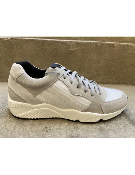 Sneaker ALEX mouse