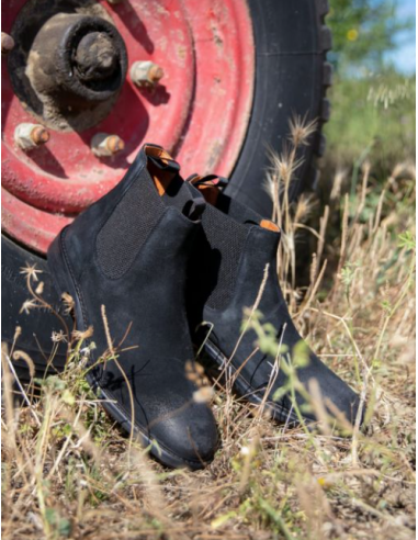 PILOT Chelsea black black