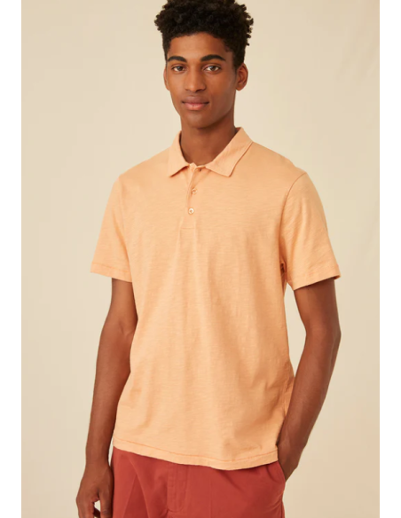 Polo HAMPTON