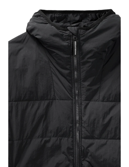 Manteau CAPELLI 2439