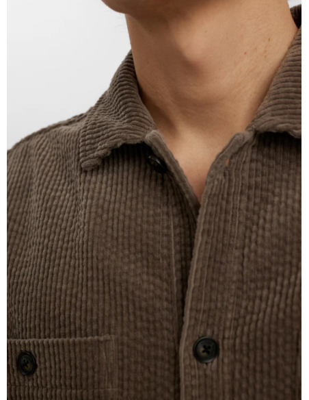 Chemise Polo AKTHEO 901971