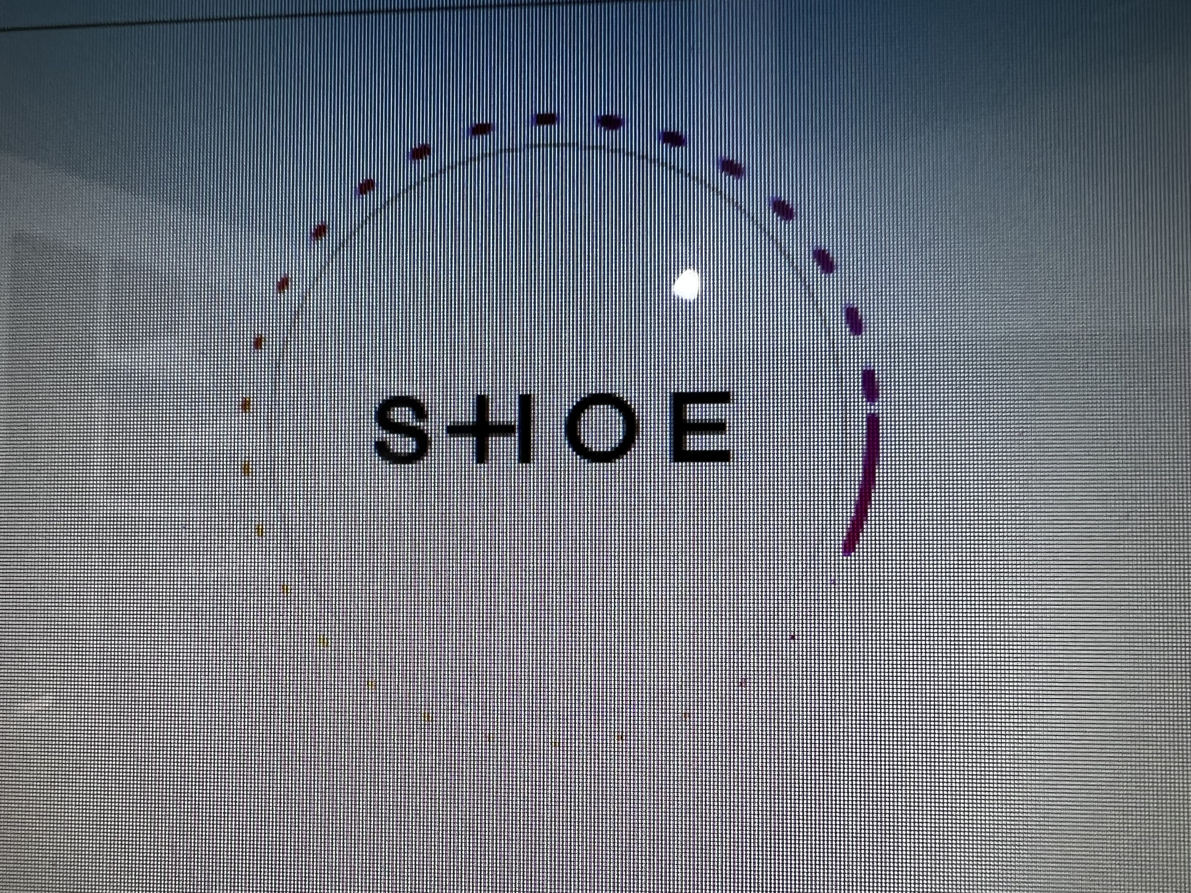 SHOE